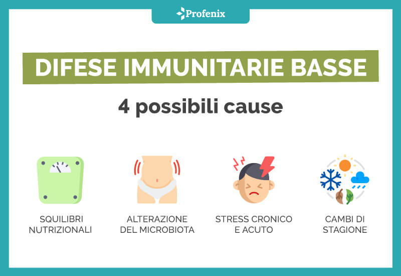 Difese Immunitarie Basse 4 Possibili Cause
