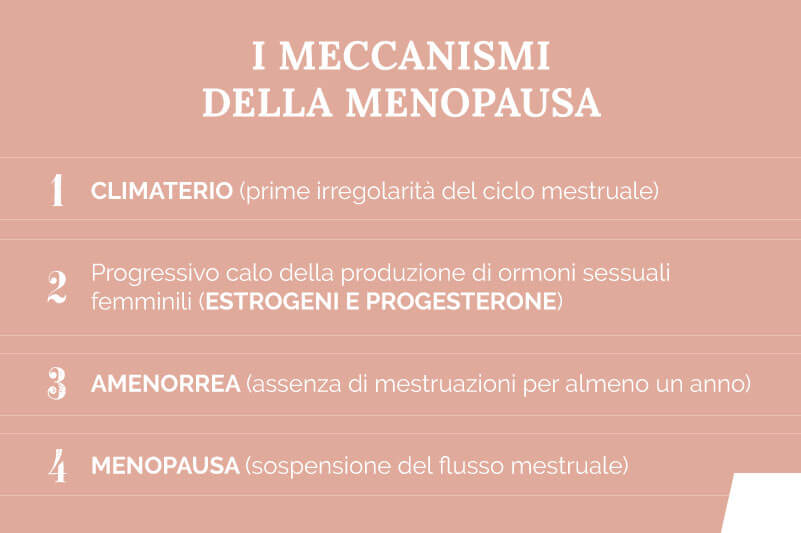 meccanismi menopausa