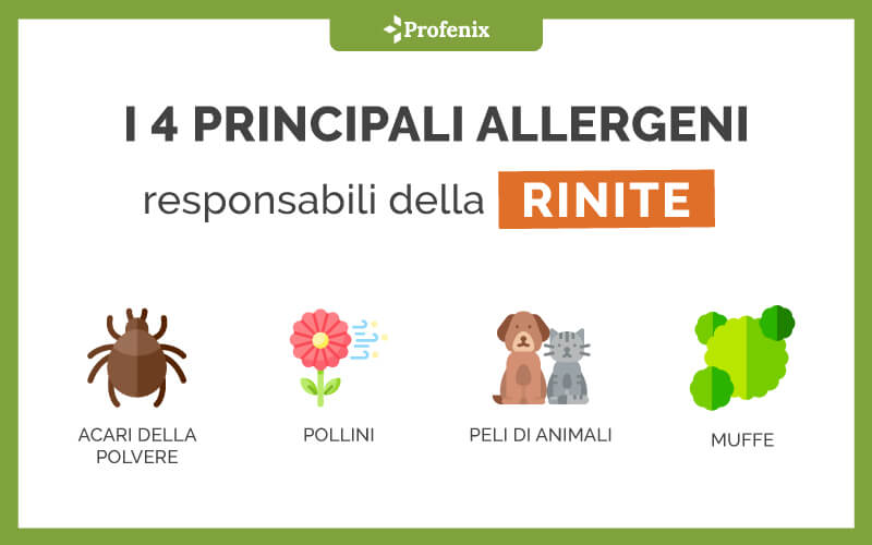 I 4 Principali Allergeni Responsabili Della Rinite