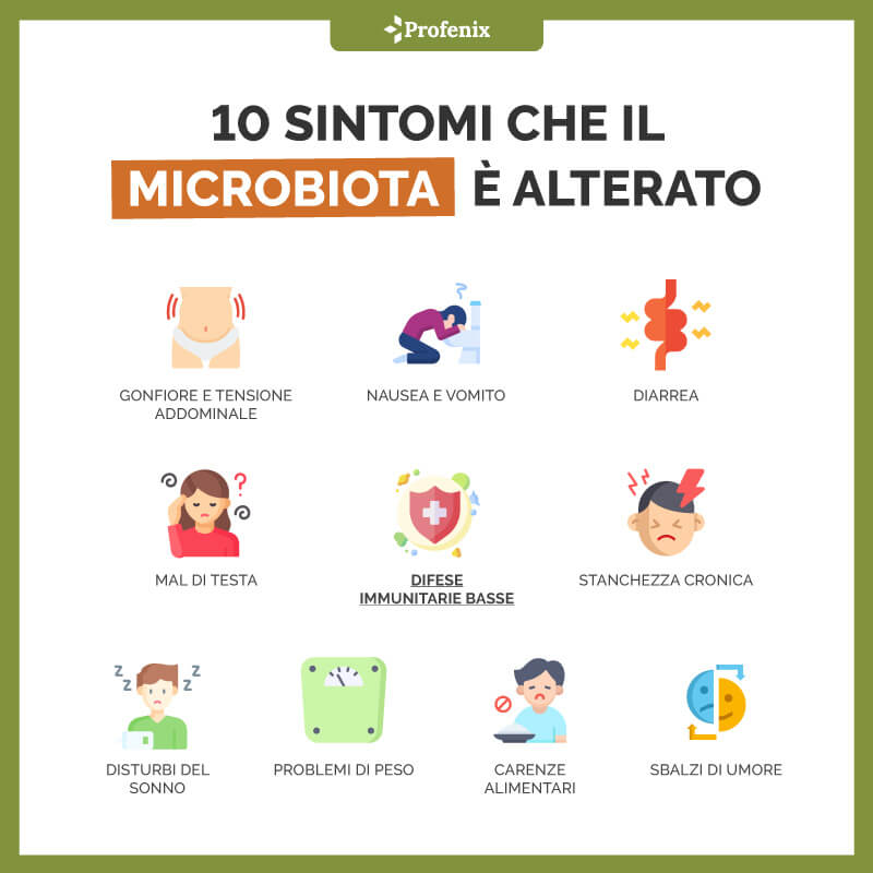 10 Sintomi Che Il Microbiota È Alterato