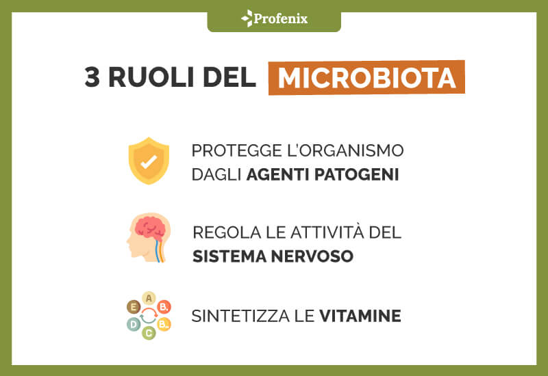 3 Ruoli Del Microbiota